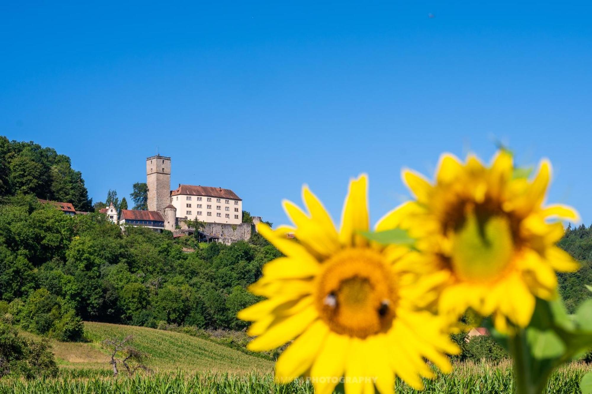 Ferienhaus Auf Der Ritterburg *